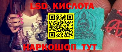 МДПВ Рыбинск
