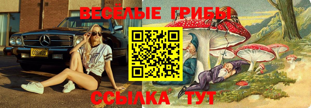 Псилоцибиновые грибы Psilocybine cubensis Уссурийск