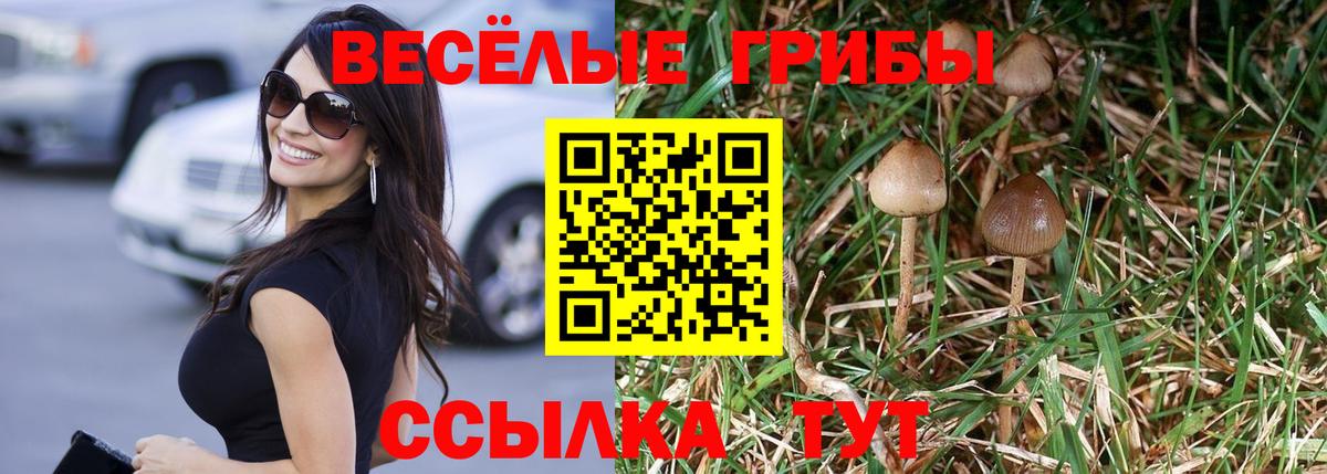 Псилоцибиновые грибы Cubensis  Вход с VPN  Уссурийск  Псилоцибиновые грибы Psilocybe 